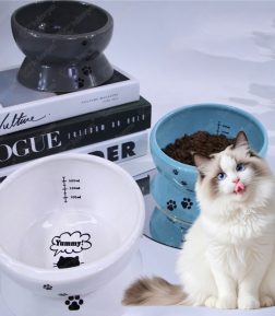 Custom Black Black GreenCeramic Pet Bowl Eco-Friendly Anti-Spill Cat and Dog Food and Water Bowl