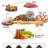 H399df05467294f158803c39e75833975l