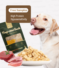 Free Samples Nutritional Balance No Artificial Freeze Dried Treats Snack for Dogs