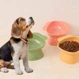 H3a565348c26540fb91e05d4e905bb5fc9