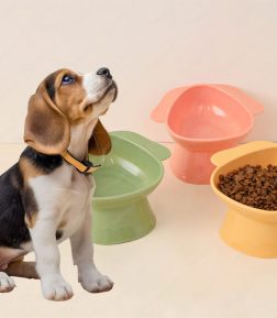 High Quality New Design Lead Free Neck Protection  Beagle Safety Pet Bowl  Feeders for Dogs