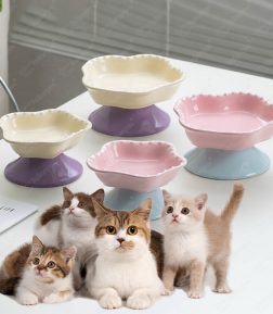 Cute Large-Diameter High-Foot Neck Guard to Prevent Tipping Over Slow Food Pet Cat Bowl