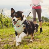 H3b8941ee2c394ff29ce341ba01160840y