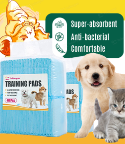 Factory Direct Supply Free Samples Super Absorbent Disposable Easy Cleanup Pet Training Pee Pads for Dogs
