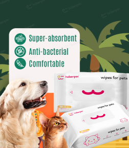 Haisen Factory Free Design Odor Control Travel-Friendly Portable Effective Cleaning Pet Wipes
