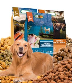 Free Sample Custom Flavors Shapes Protein Content 18% -45% All Age Dry Pet Dog Food