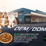 H448d8ec7ad5a4fddb2f5661067a13b5fL