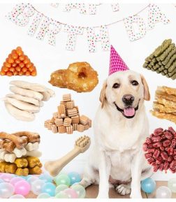 Free Samples Custom OEM ODM Birthday Gift 100% Natural Dog Snacks Treat Food