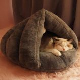 H4900bbd235844864952bbe88cd503409f