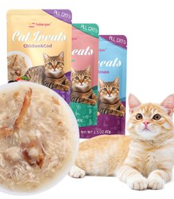 Factory Sales Pet Food 120g 80g 70g 60g 40g Various Flavors Treats Wet Cat Food