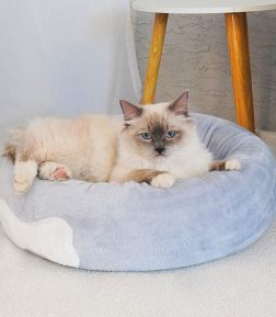 Customization Available Excellent Comfort Ultra-Soft Pet Mat Stylish Durable Non Slip Dog Kennel