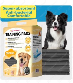OEM ODM Factory Wholesale Price Standard Size Leak Resistant 5-Layer Super Absorbent Activated Charcoal Pet Dog Pee Pad