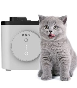Pet Drinking Water Dispenser