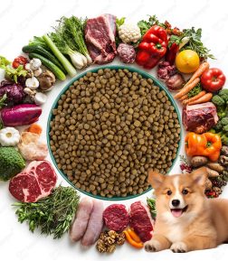 Bulk Pet Food Wholesale High Quality Natural 18%-45% Crude Protein Meat Dry Dog Food
