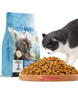 Free Sample Wholesale Bulk Cat Food Various Flavors Multiple Shapes Food for Cat