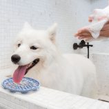 H57016cd0bbf649049eb5586d4863ce0by