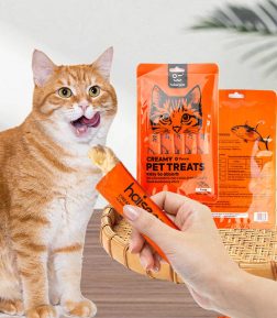 OEM ODM Custom Logo Free Samples High Protein No Colorants Creamy Cat Treat Food