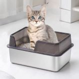 H6196d7f48f9544349a637eac4d03f720e