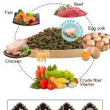 H653246261bbd4e589f38d6ee5e746b5cW