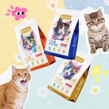 H68f68392ac174ebf80122ab111d1dfcbK