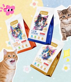 Factory Direct Supply Custom Logo Free Sample Nutritional Balance High Protein Dry Food for Cat