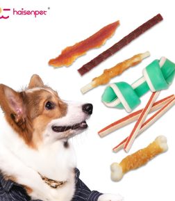 Origin Wholesale Bulk Natural Chicken Flavor High-Protein Dog Snacks with Skin & Coat Health Benefits Air-Dried Pet Food Cookies