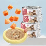 H6d7a9b528cac4b60a2a9fd2cf72a8b5ek