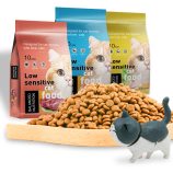 H70b6cb1e74f541978464d45bce6043d7M