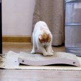 H7160aa1a16c2412b8c1c11b01b0ef693M