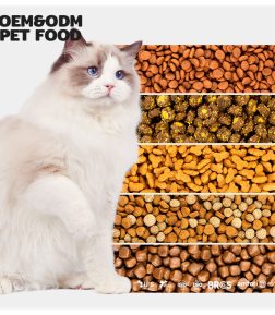 Free Sample High Protein Additive-Free Dry Cat Food 100% Natural Fish Shaped Triangular Circular Kitten Food