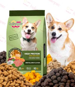 OEM ODM Dog Dry Food Wholesale Factory Weight Gain Attractive Dry Dog Food Pet Food