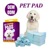 H7b43404abae349e68302370d74b84d4fo