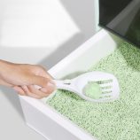 H7b5b683c01b14c40bb2d538f21d0a7b4M