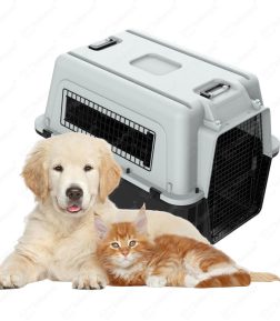 Custom Wholesale Airline Approved Large Plastic Air Pet Box Pet Dog Carrier  Portable Cat Pet Carrier Crate Carriers