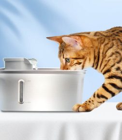 OEM ODM One Stop Service Food Grade Stainless Steel Pet Water Dispenser