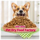 H7fe796cbbe384aeca6f72ca07ee0d14eF