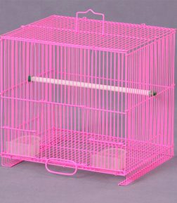Sale Chinese Large Parrot Bird Breeding Cage of Birds