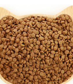 OEM Cat Food Factory High Nutrition Rounded Multiple Flavors Pet Dry Cat Food for Small Breed Adult Cats