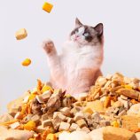 H97cda750655e40d98bf6f846c6a8de3cd