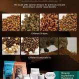 H9cad0ca0187d42909d1456ea2e0d6707J