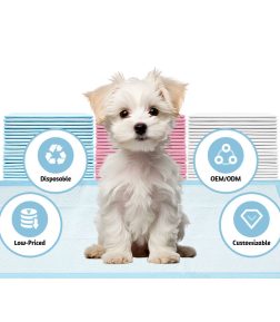 Factory OEM ODM Super Absorbent 20pcs 40pcs 50pcs 100pcs Pet Dog Pee Pads