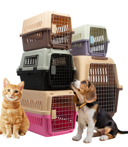 Free Samples Various Colors Airline Approved Portable Handle Dog Cat Pet Travel Carriers