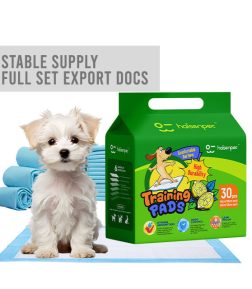 Free Samples First-Order Special Offer Disposable Puppy Adult Wholesale Pet Pee Pad Dog Training Pads