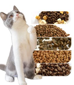 OEM Cat Food Factory High Nutrition Star Shape Multiple Flavors Bulk Dry Cat Food Can Mix Freeze-dried Chicken