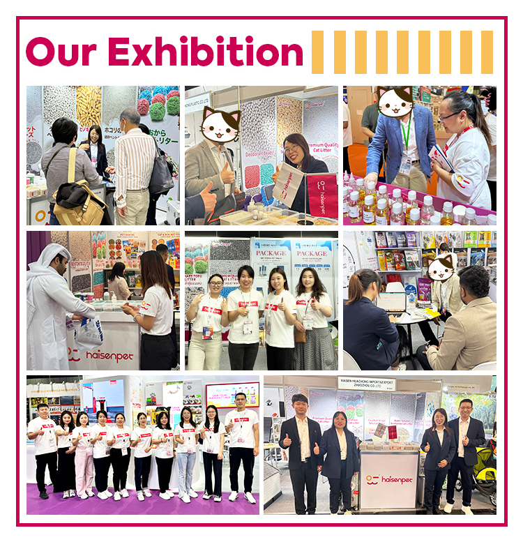 Ha4c2c9aeef4b4a46aa8899e42fac9c6fk Ha4c2c9aeef4b4a46aa8899e42fac9c6fk