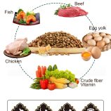 Haa0a14568465467bb3fc3893ca72799fY