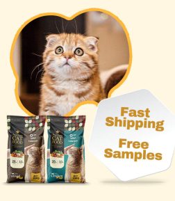 Best-Selling FDA One Stop Service Various Flavors High Protein Pet Dry Cat Food