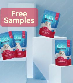 Factory Direct Supply Spot Inventory Gourmet Succulent Protein Packed Delicious Cat Wet Food Pouch