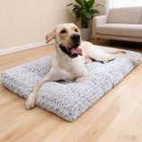 Hbad1db1a2deb43c7bd272f106ecc5f9em