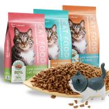 Hbb0c2aee72ee45c8b80381817ed03fcd9